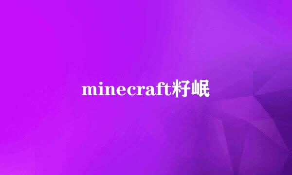 minecraft籽岷