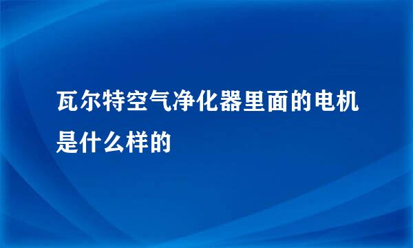 瓦尔特空气净化器里面的电机是什么样的