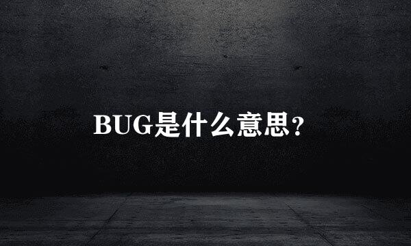 BUG是什么意思？