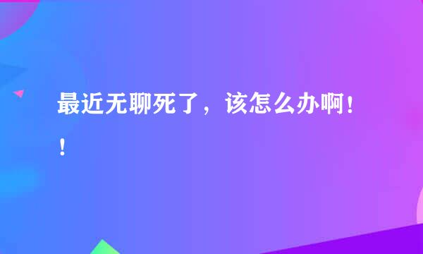 最近无聊死了，该怎么办啊！！