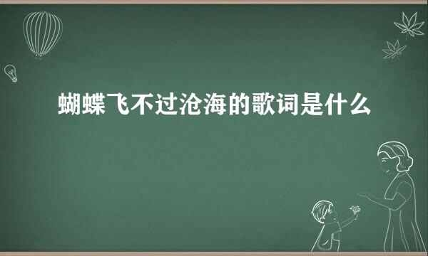 蝴蝶飞不过沧海的歌词是什么