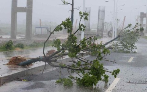 什么是暴雨蓝色警报