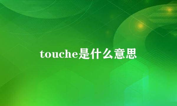 touche是什么意思