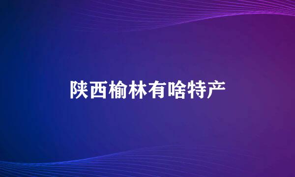 陕西榆林有啥特产