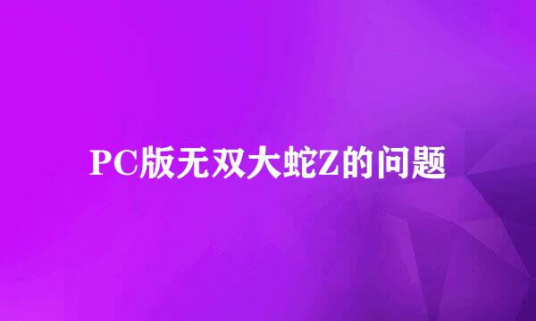 PC版无双大蛇Z的问题