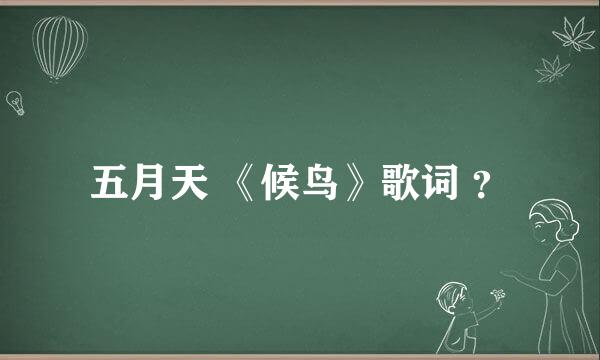 五月天 《候鸟》歌词 ？