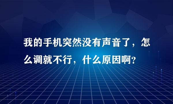 我的手机突然没有声音了，怎么调就不行，什么原因啊？