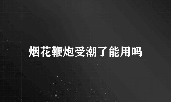 烟花鞭炮受潮了能用吗