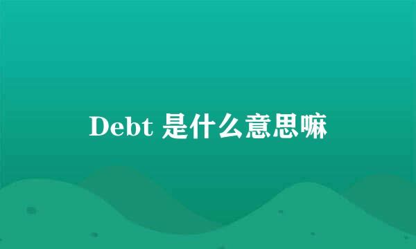 Debt 是什么意思嘛