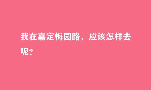 我在嘉定梅园路，应该怎样去呢？