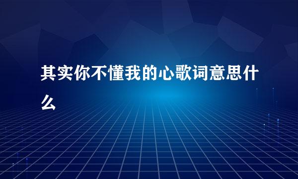 其实你不懂我的心歌词意思什么