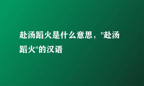 赴汤蹈火是什么意思，