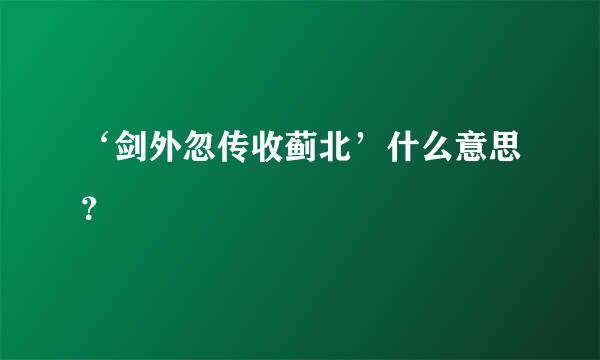 ‘剑外忽传收蓟北’什么意思？