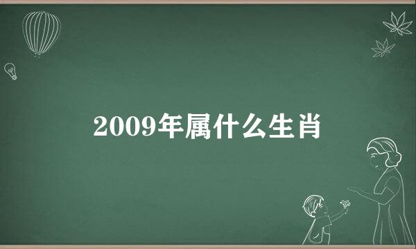 2009年属什么生肖