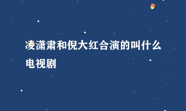 凌潇肃和倪大红合演的叫什么电视剧