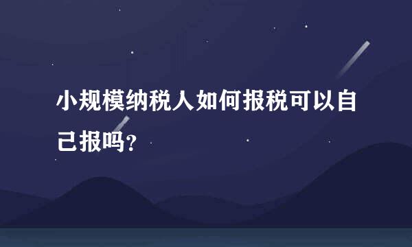 小规模纳税人如何报税可以自己报吗？