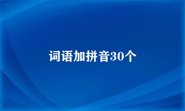 词语加拼音30个