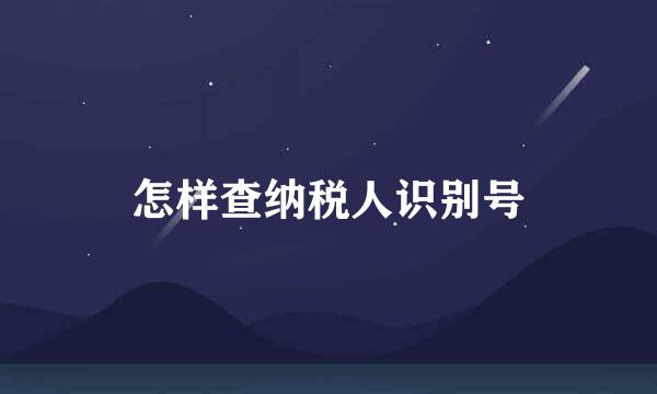 怎样查纳税人识别号