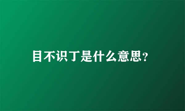 目不识丁是什么意思？