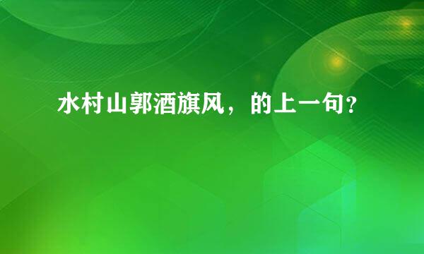 水村山郭酒旗风，的上一句？