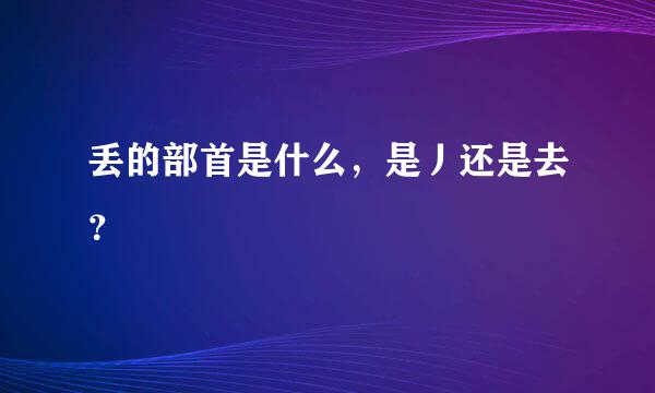 丢的部首是什么，是丿还是去？