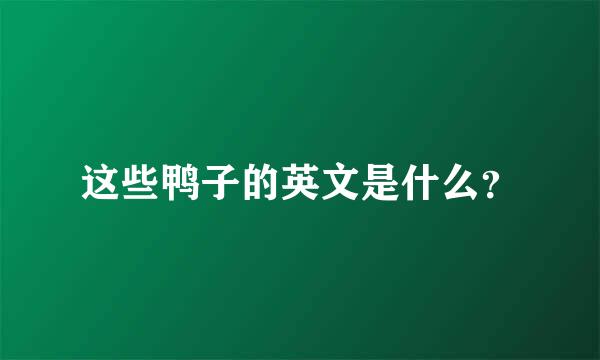 这些鸭子的英文是什么？