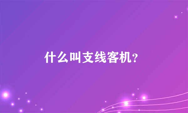 什么叫支线客机？