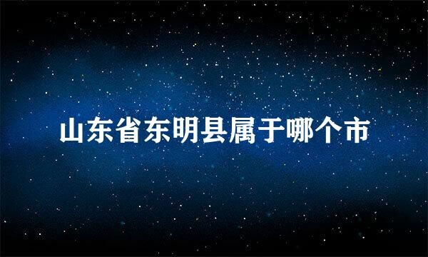 山东省东明县属于哪个市