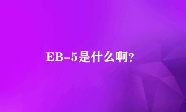 EB-5是什么啊？