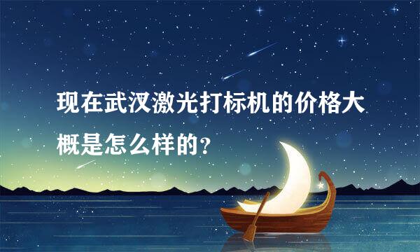 现在武汉激光打标机的价格大概是怎么样的？