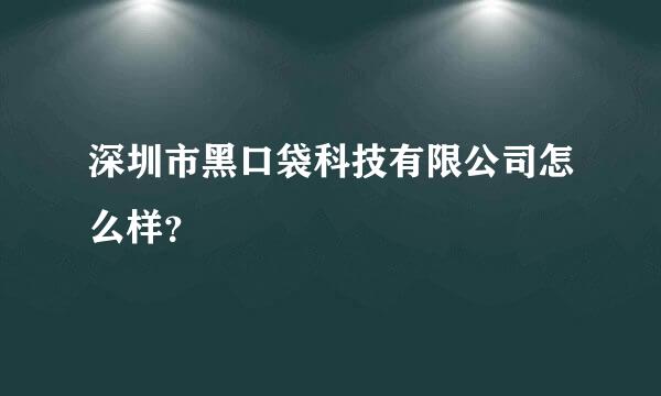 深圳市黑口袋科技有限公司怎么样？