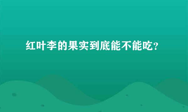 红叶李的果实到底能不能吃？