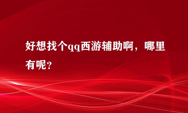 好想找个qq西游辅助啊，哪里有呢？