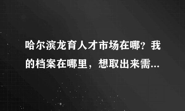 哈尔滨龙育人才市场在哪？我的档案在哪里，想取出来需要带什么证件吗？