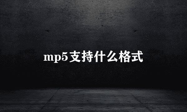 mp5支持什么格式