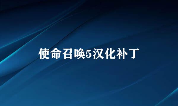 使命召唤5汉化补丁