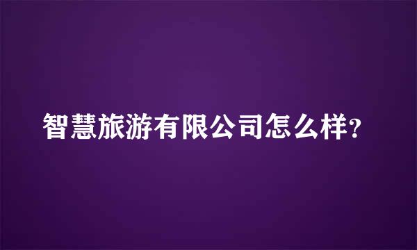 智慧旅游有限公司怎么样？