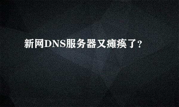 新网DNS服务器又瘫痪了？