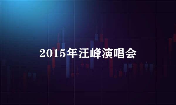 2015年汪峰演唱会