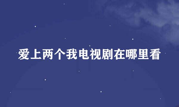 爱上两个我电视剧在哪里看