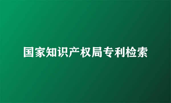 国家知识产权局专利检索