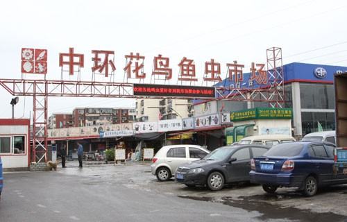 天津花鸟鱼虫市场哪个最大