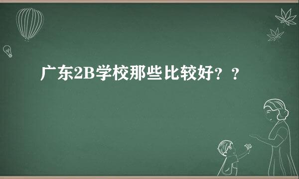 广东2B学校那些比较好？？