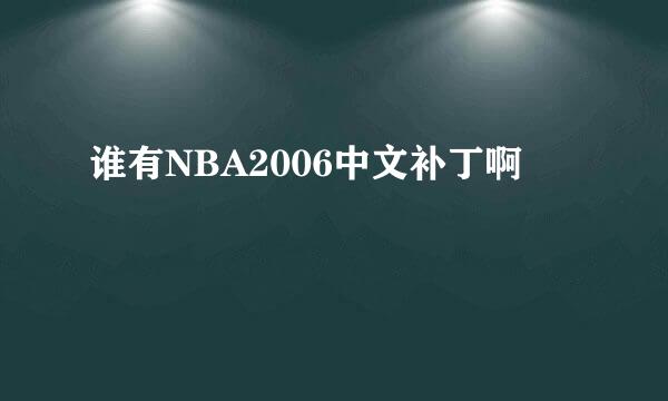 谁有NBA2006中文补丁啊