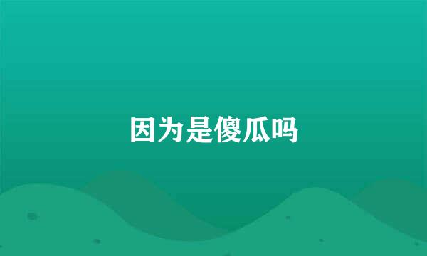 因为是傻瓜吗