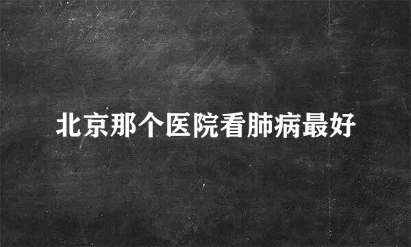 北京那个医院看肺病最好