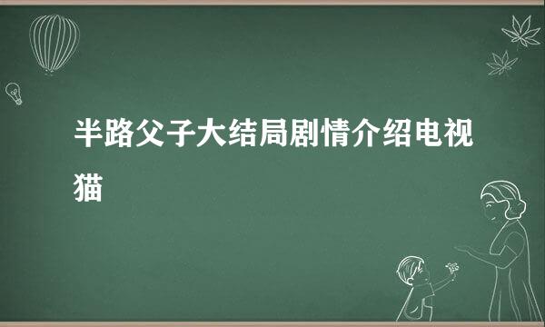 半路父子大结局剧情介绍电视猫