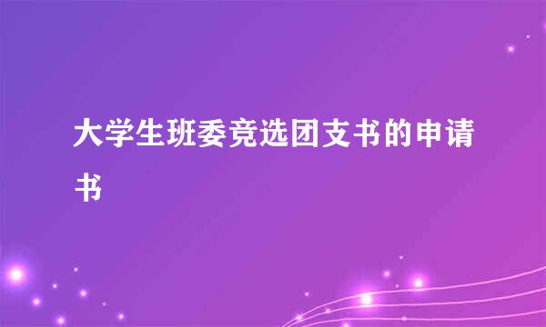 大学生班委竞选团支书的申请书