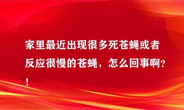 家里最近出现很多死苍蝇或者反应很慢的苍蝇，怎么回事啊？！