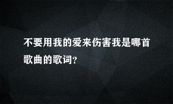 不要用我的爱来伤害我是哪首歌曲的歌词？